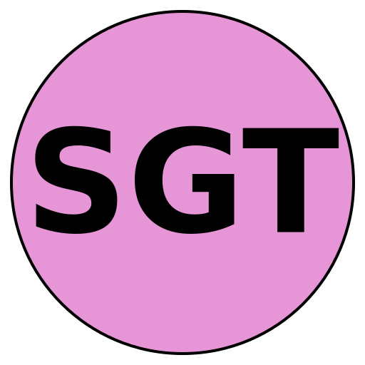 Stellar Gurus Travel